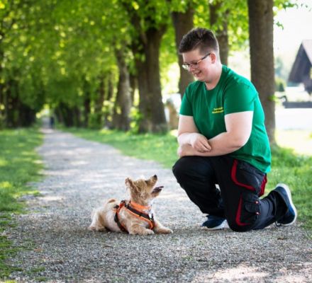 TeamWalk-Hundetrainer