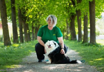 TeamWalk-Hundetrainer