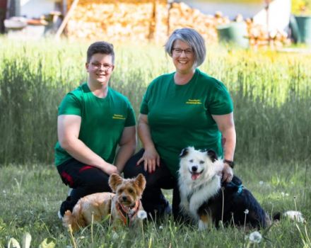 TeamWalk-Hundetrainer