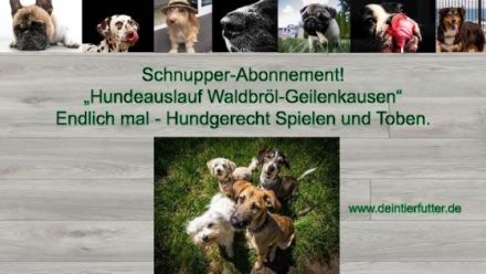Hundeauslauf Waldbröl