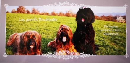 les gentils Roublards