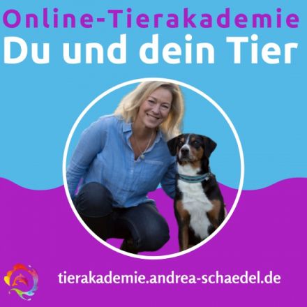 Online Tierkommunikation Aufbau Seminar
