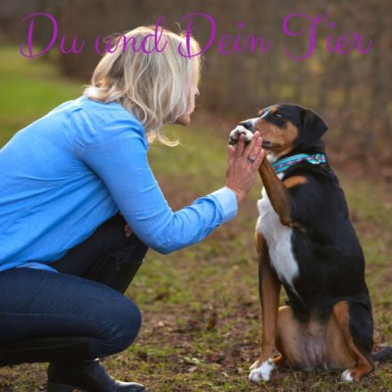 Online Tierkommunikation Basis Seminar