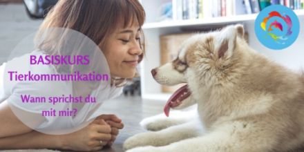 Online Tierkommunikation Basis Seminar