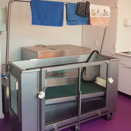 Tiertherapie Starke & Seidel