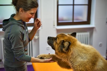 Tiertherapie Starke & Seidel