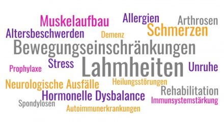 Tiertherapie Starke & Seidel