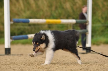 from the Lucky Spirits