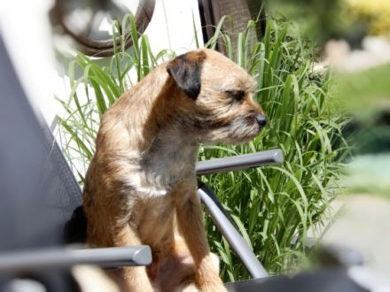 Xilo from the sunny Highlands