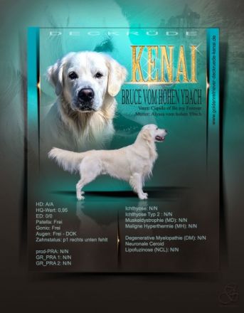 Kenai