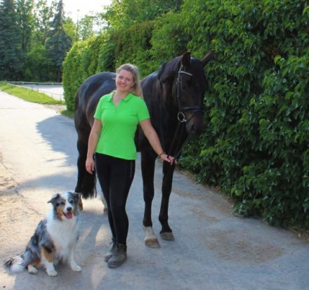 F.I.T. Physio - Für Ihr Tier by Lisa Wedler