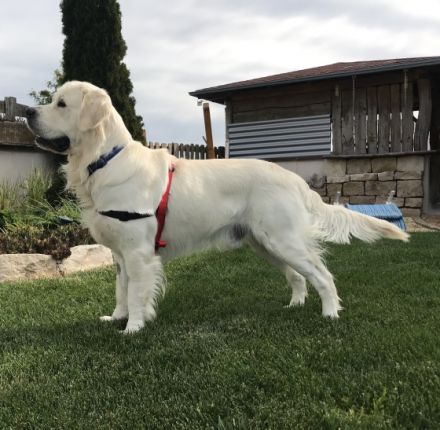 Easy of Be My Forever