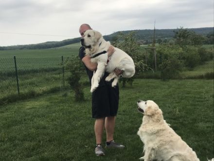 Easy of Be My Forever