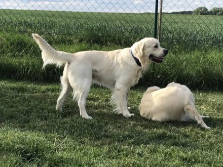 Easy of Be My Forever