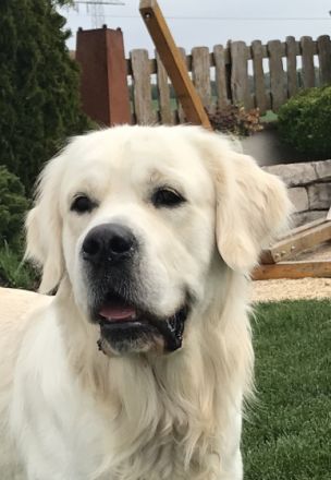 Easy of Be My Forever