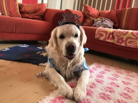 Cupido of Be My Forever