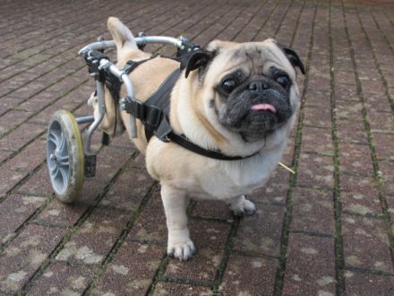 Physiotherapie Team Daum