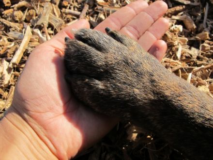 Physiotherapie Team Daum