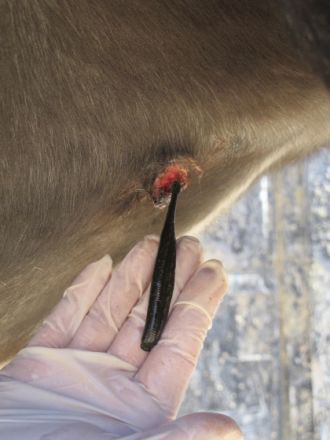 Physiotherapie Team Daum