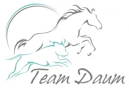 Physiotherapie Team Daum