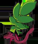 Zentrum für Naturheilkunde - Daniela Zimmermann