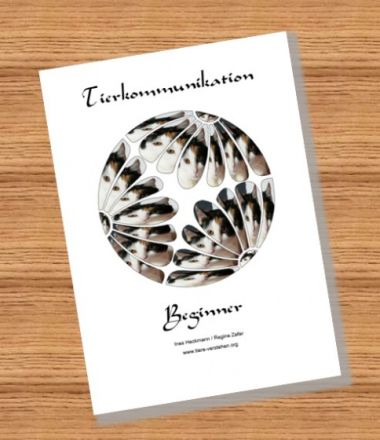 Tierkommunikation ONLINE zu Hause lernen mit professioneller Betreuung