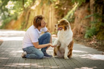 Tierheilpraktikerin & Tierphysio Brigitte Görtler