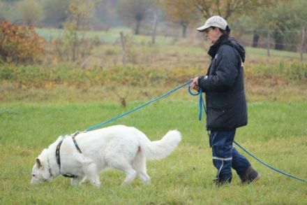 vom Kristallschlössle