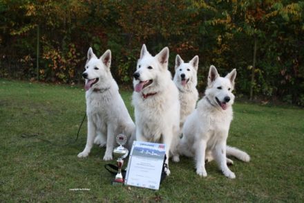 vom Kristallschlössle