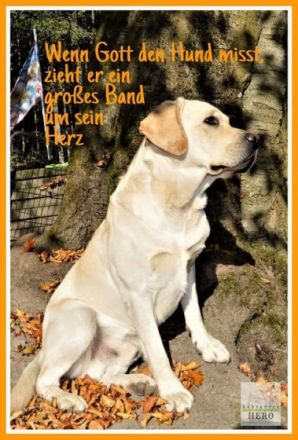 Hurricane Maximus of sir lane hero