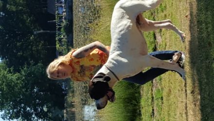 Lee & Lord vun den Schmussidogs