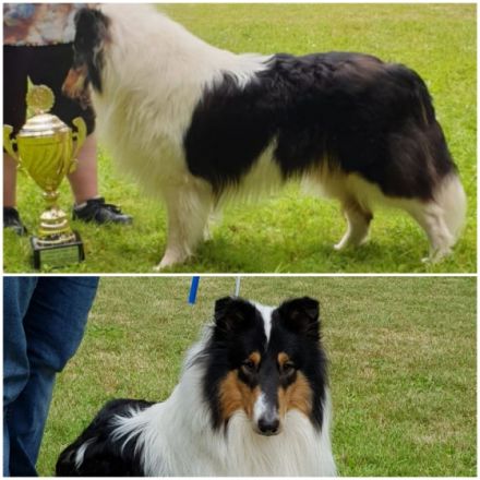 DJ vom bezaubernden Eitrablick