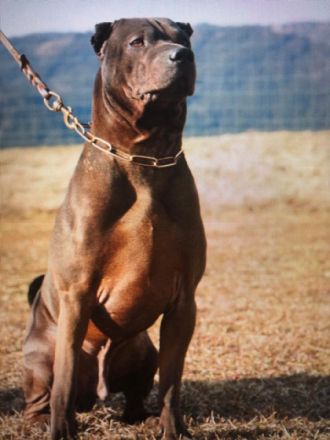 Dudley Duke of China