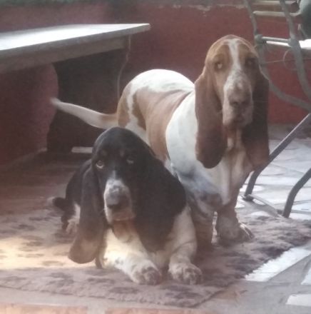 Vom Landgut Lichtenau