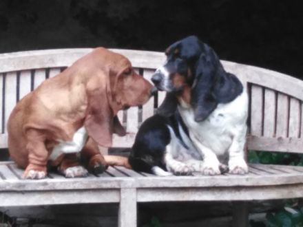 Vom Landgut Lichtenau