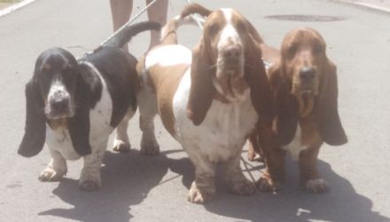 Vom Landgut Lichtenau