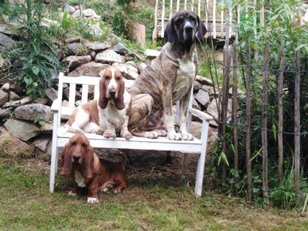 Vom Landgut Lichtenau