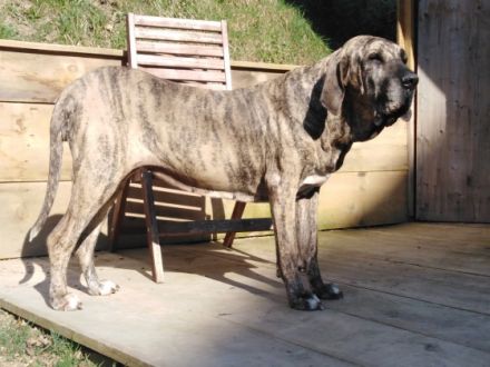 Vom Landgut Lichtenau