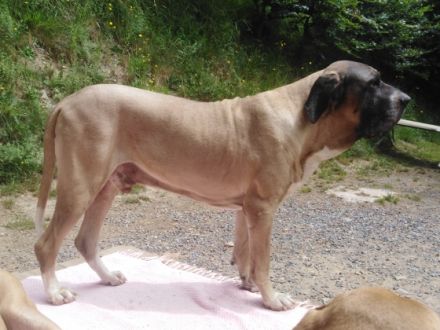 Vom Landgut Lichtenau