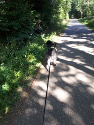 Hundeschule RelativHund