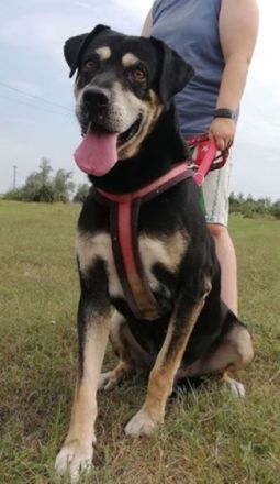 ZOZI - 55 cm - möchte auch endlich gesehen werden!