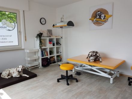 Mobile Hundepfoten, Hundephysiotherapie, Hundeosteopathie & Hydrotherapie, Christiane Strümer
