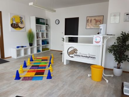 Mobile Hundepfoten, Hundephysiotherapie, Hundeosteopathie & Hydrotherapie, Christiane Strümer