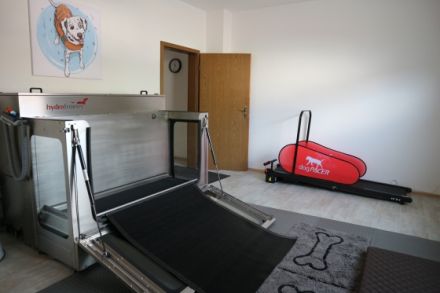 Mobile Hundepfoten, Hundephysiotherapie, Hundeosteopathie & Hydrotherapie, Christiane Strümer