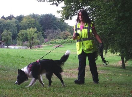 Hundeschule Bindungssache