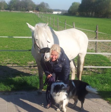 Tierphysiotherapie- und Osteopathie Nina Reich