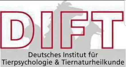 Ausbildung zum Hundephysiotherapeuten auch über Bildungsgutschein