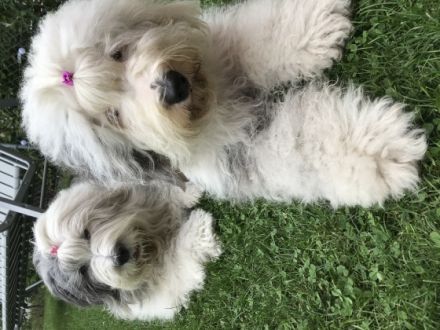 von der Jacquelinenburg