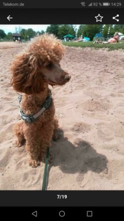 Emanuel vom Winde verweht