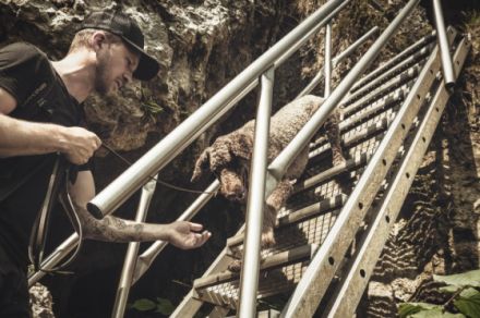 Hundetrainer Augsburg - StrehDog Hundeschule